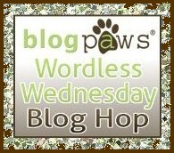 BlogPaws Wed Button